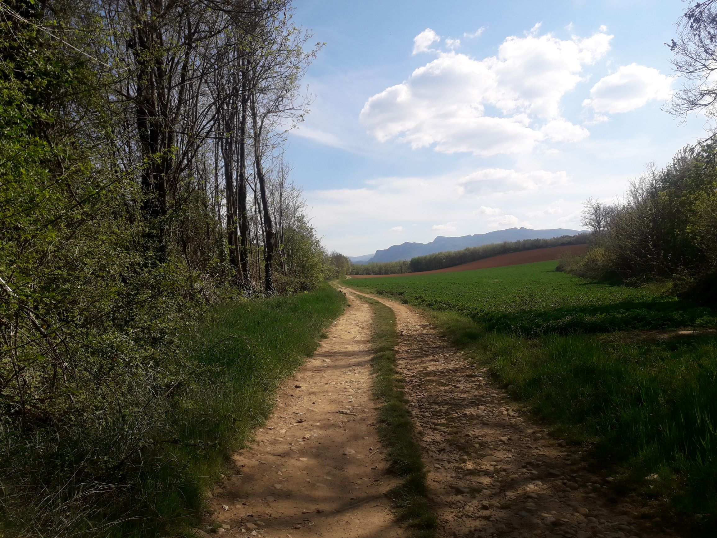 Trip in de Haute Provence - huiswandeling Les Glycines