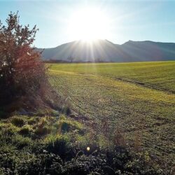 Trip in de Haute Provence - Plateau Les Romeyeres, een deel van Les Glycines' huiswandeling