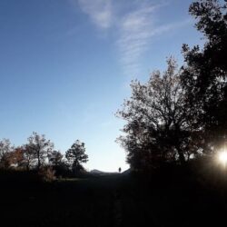 Les Glycines wandeling plateau Mison