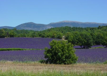 Richting Mont Ventoux